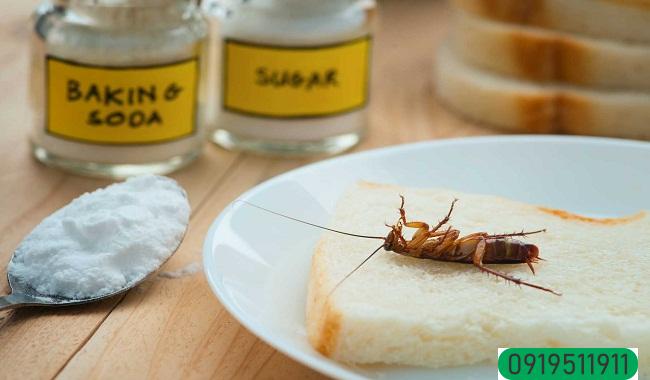 Cách diệt gián trong tủ bếp bằng baking soda