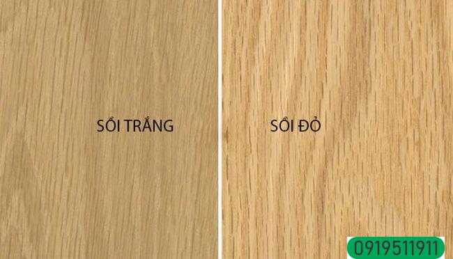 Gỗ sồi trắng và gỗ sồi đỏ