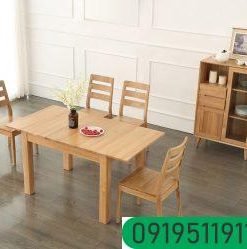 Tu-de-do-nho-gon-tien-dung-cho-gia-dinh-GHS-5554-3 (1)