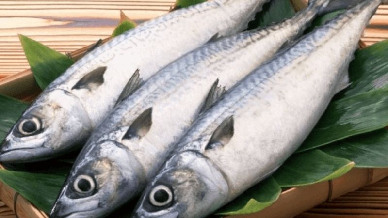 Giá trị dinh dưỡng của cá thu