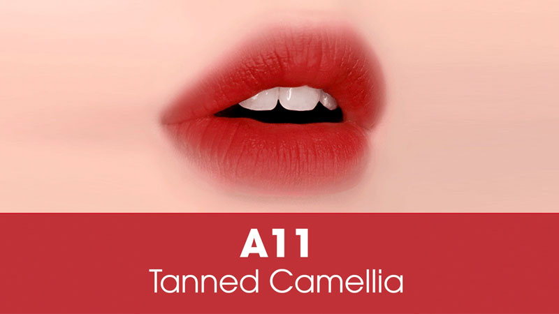 A11: Tanned Camellia (Đỏ hồng đất)