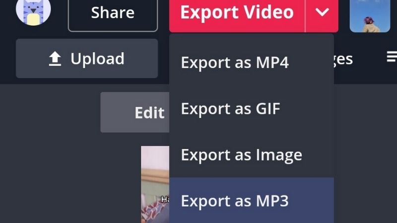 Export Video chọn Export as MP3 > Export Audio.