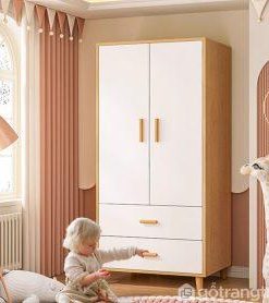 mẫu tủ quần áo 2 cánh đẹp (1)